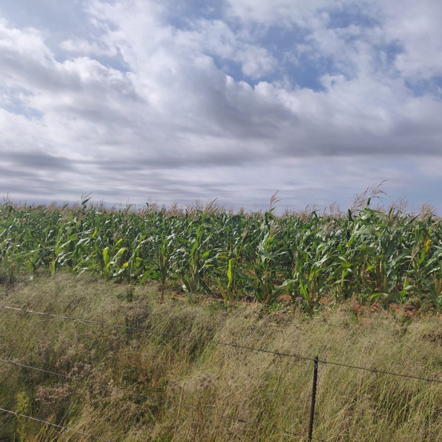 Commercial Property for Sale in Bainsvlei Free State